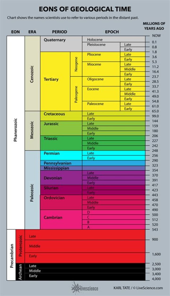 What is divided into epoch