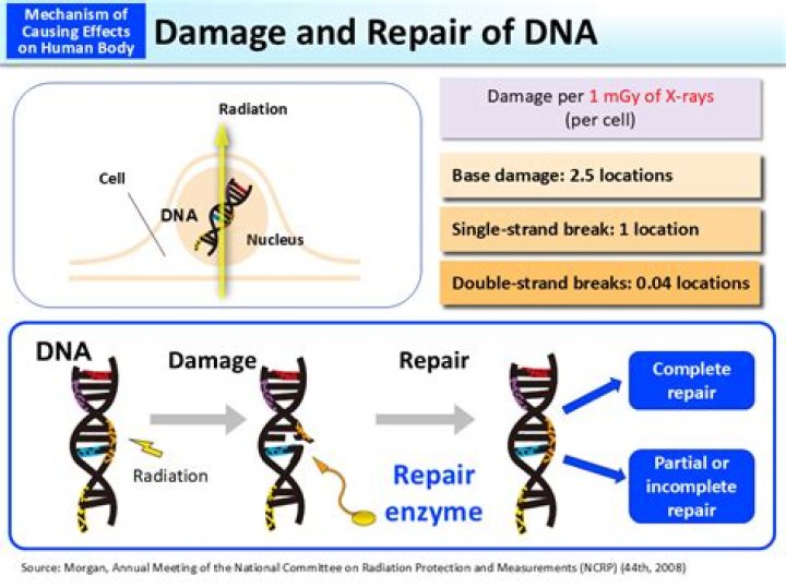 What is DNA damage and repair