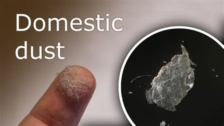 What is domestic dust made of