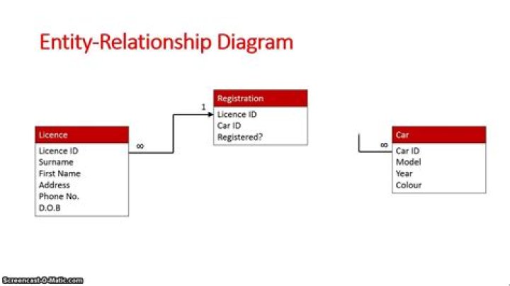 What is entity domain model