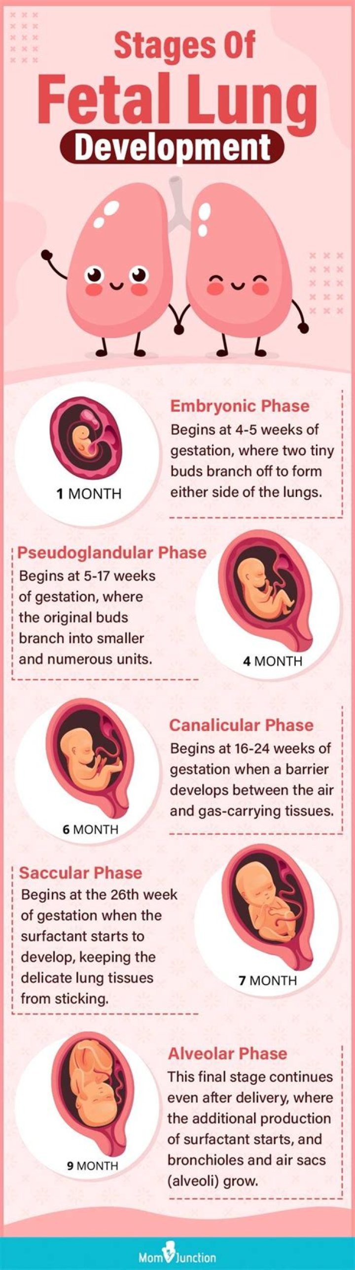 What is fetal lung maturity