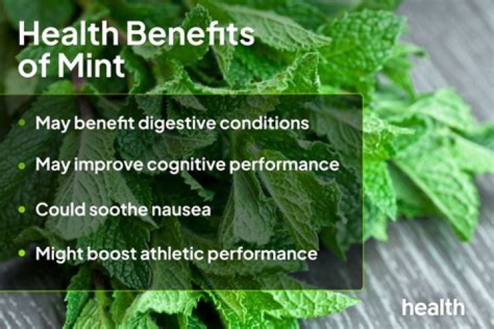 What is fish mint good for