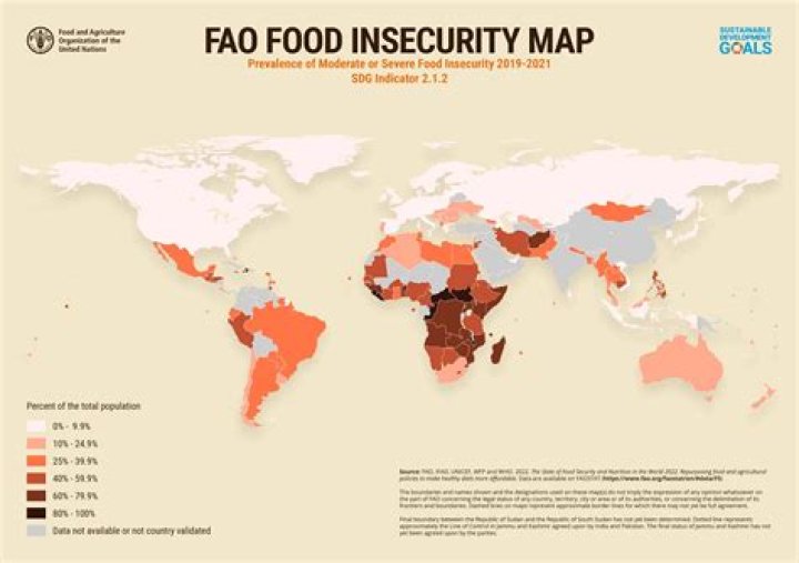 What is food insecurity FAO
