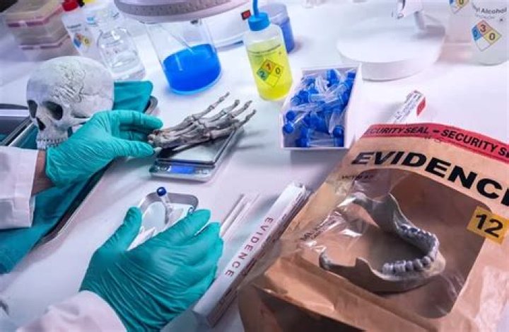 What is forensic odontology