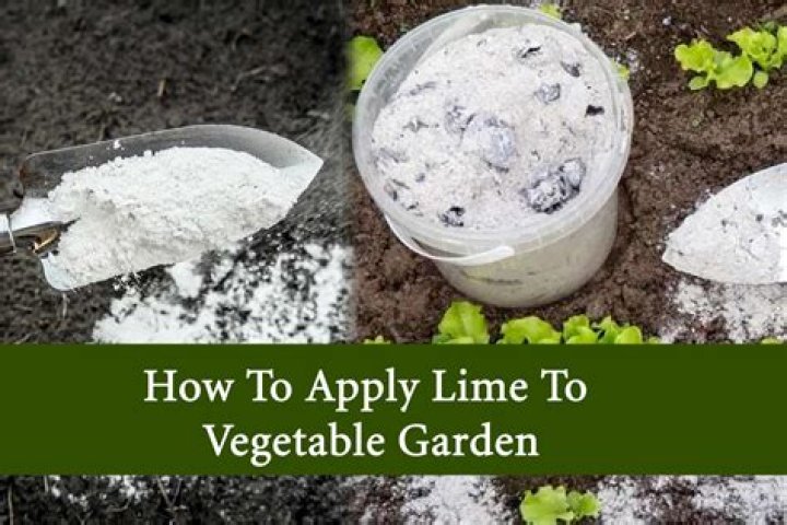 What is garden lime made of