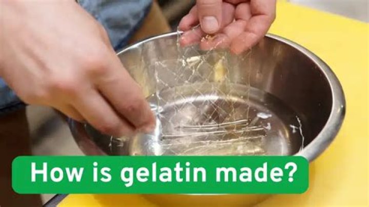What is gelatin made of quizlet
