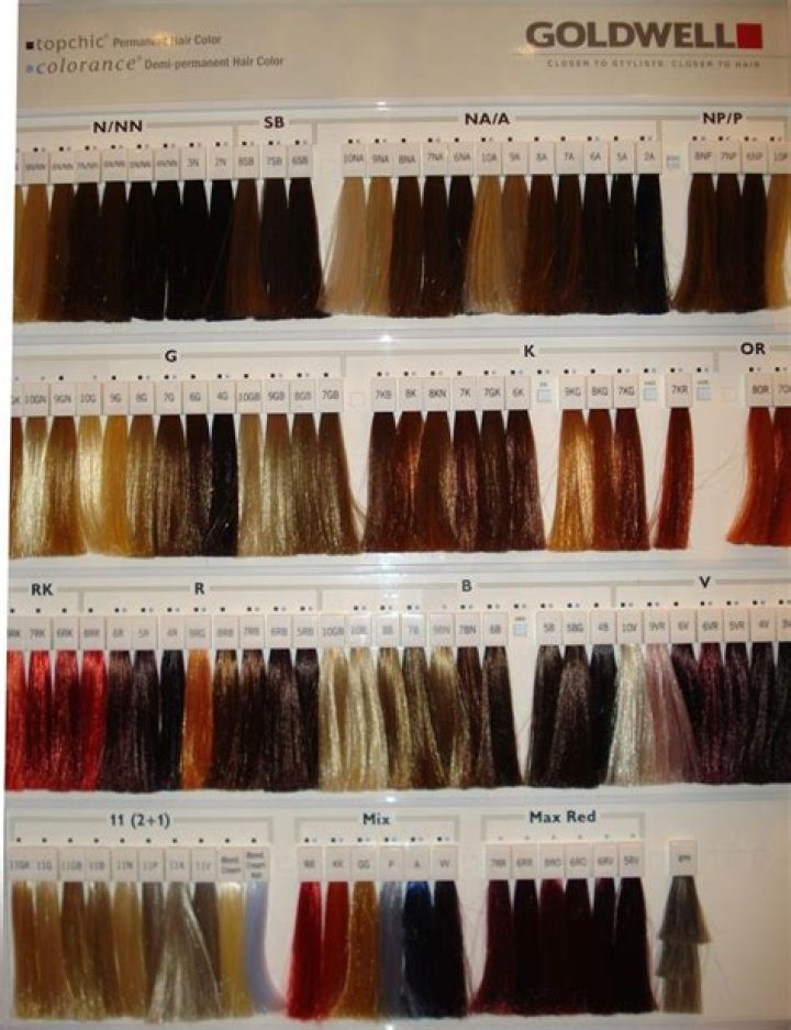 What is Goldwell hair color