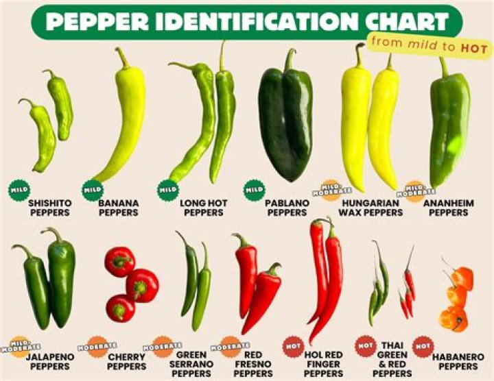 What is ground chili pepper