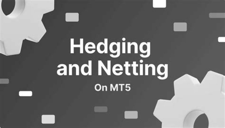 What is hedging and netting