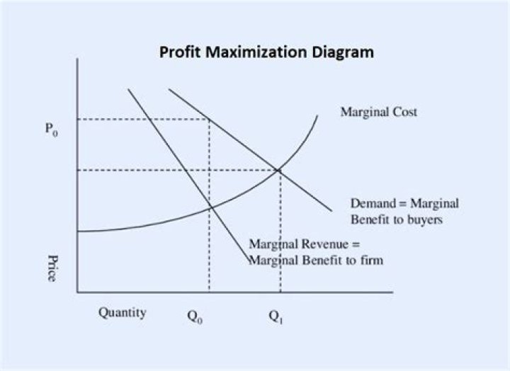 What is ignored in profit maximization