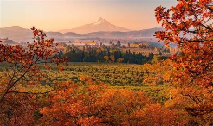What is in season in Oregon
