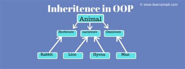 What is Inheritance in OOP