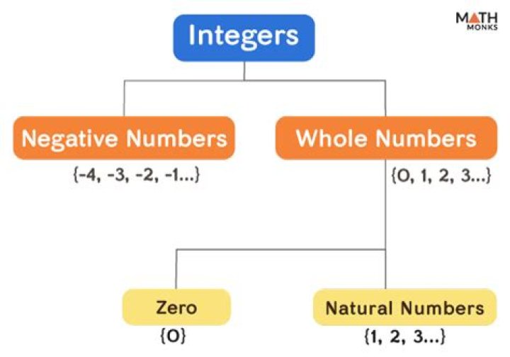 What is integer restriction