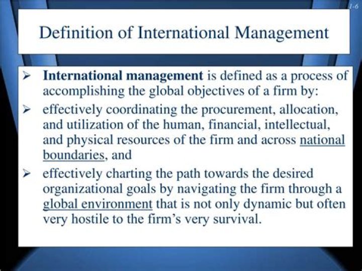 What is International Management Masters