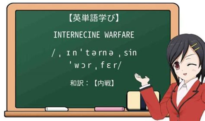 What is internecine warfare