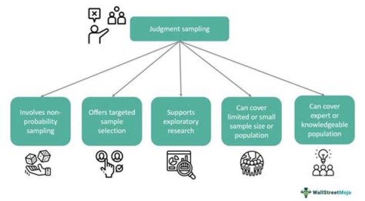 What is Judgemental sampling technique