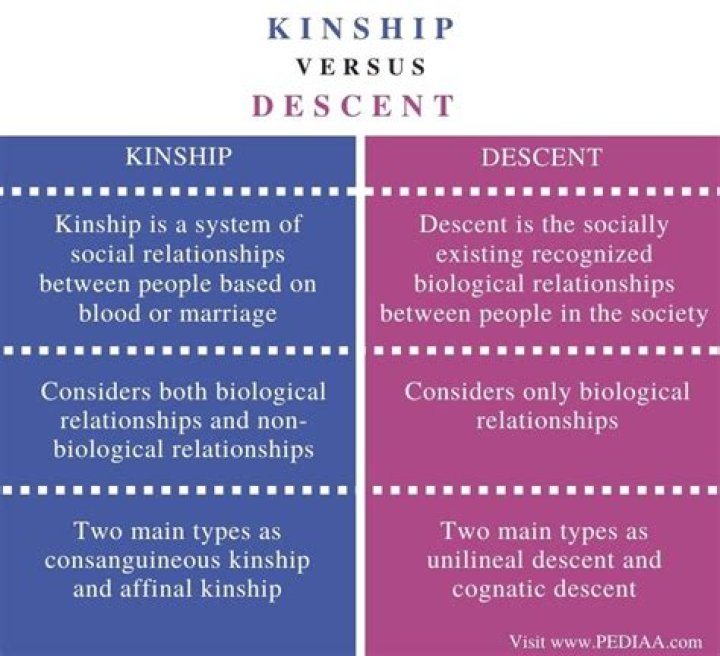 What is kinship and descent