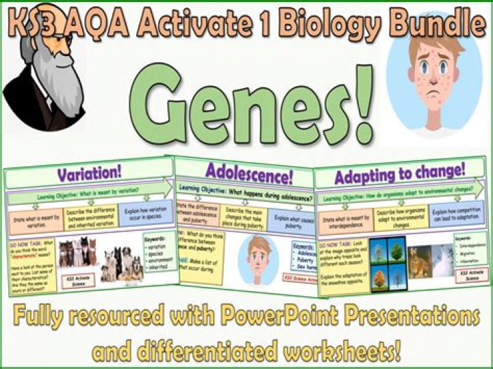 What is ks3 science