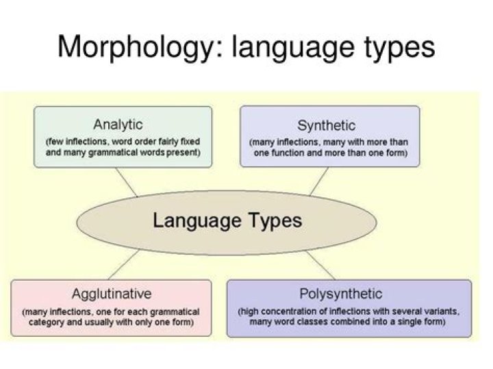 What is language morphology