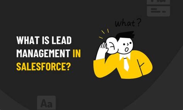 What is lead management in Salesforce