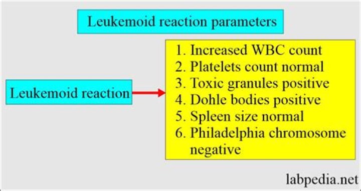 What is leukemoid reaction