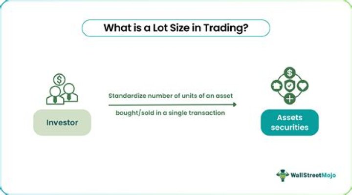 What is lot size in manufacturing