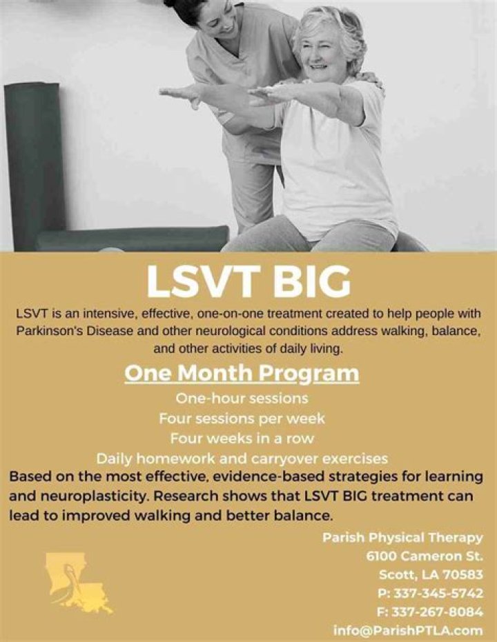 What is LSVT big stand for