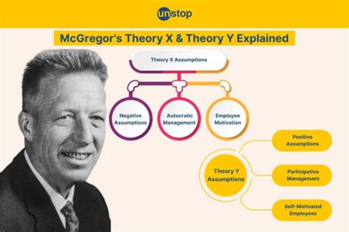 What is McGregors Theory X