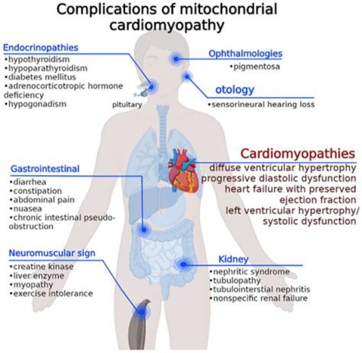 What is mitochondrial myopathy treatment