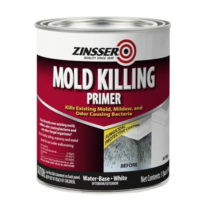 What is mold killing primer