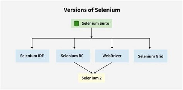 What is my selenium version