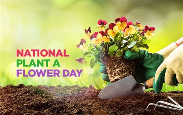 What is National plant Day