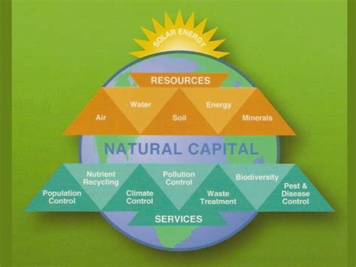 What is natural capital in environmental science