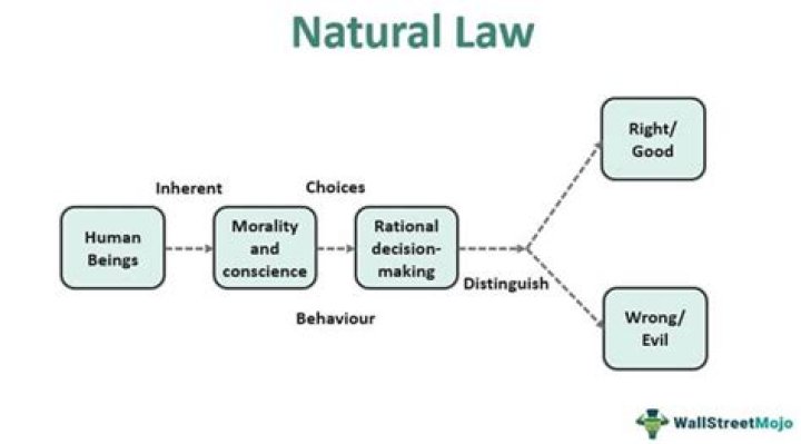 What is natural law summary