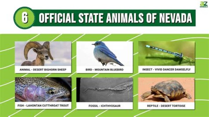 What is Nevada state animal