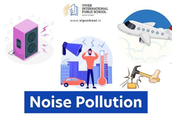 What is Noise Pollution Act