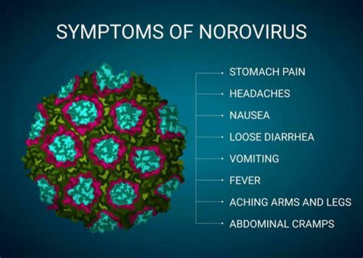 What is norovirus caused by