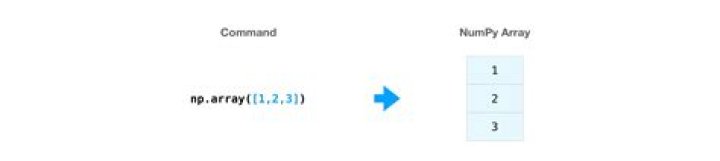 What is NumPy array format
