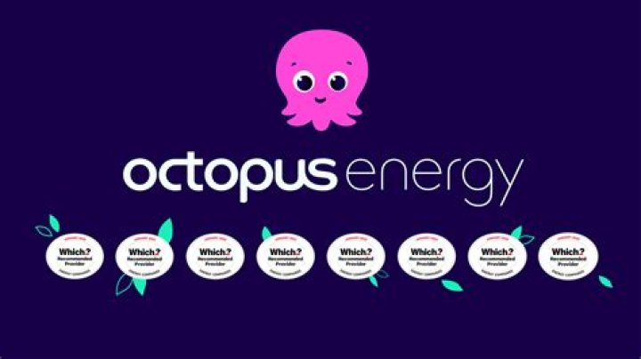 What is Octopus application