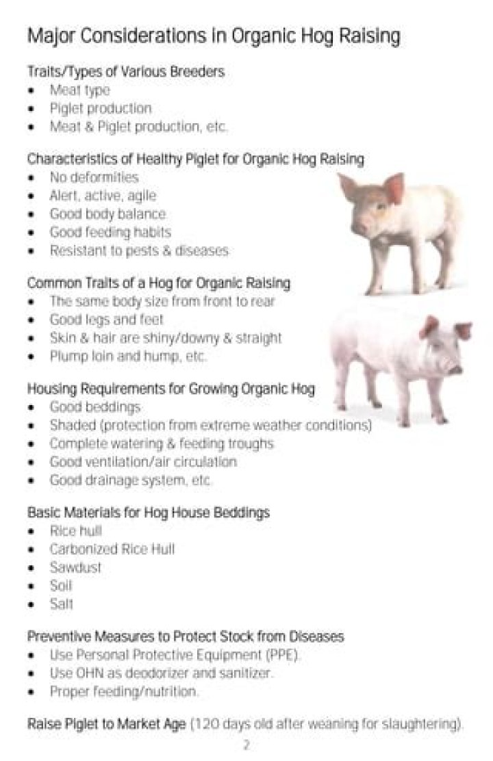 What is organic hog raising