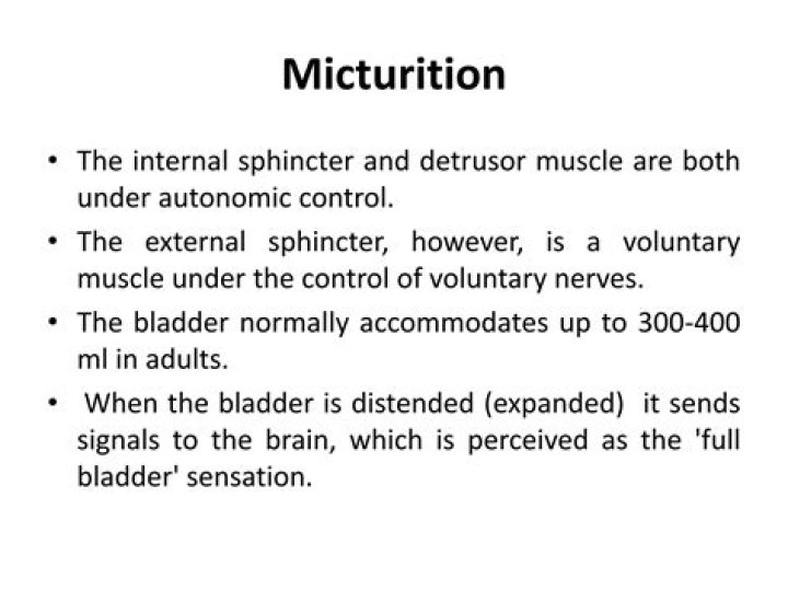 What is painful micturition