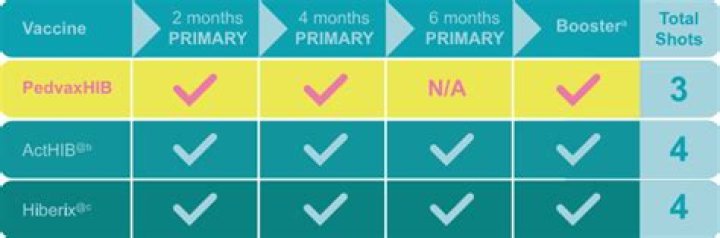 What is PedvaxHIB used for