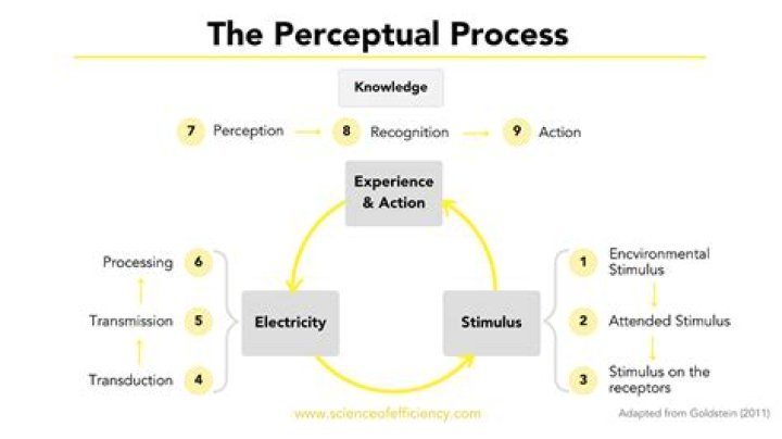 What is perceptual thinking
