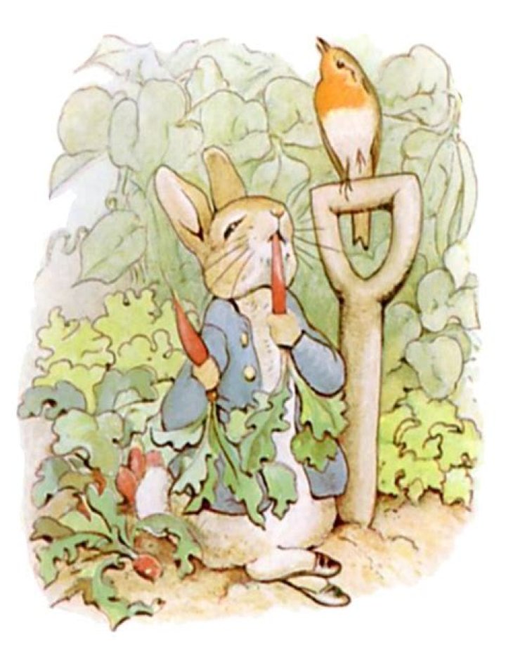What is Peter Rabbit eating