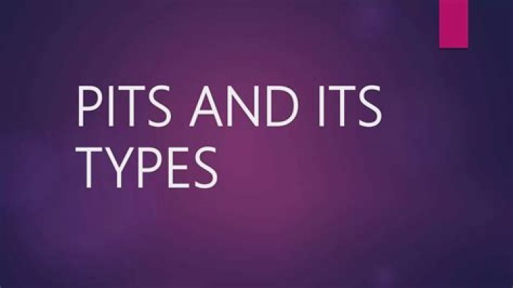 What is pits and its types
