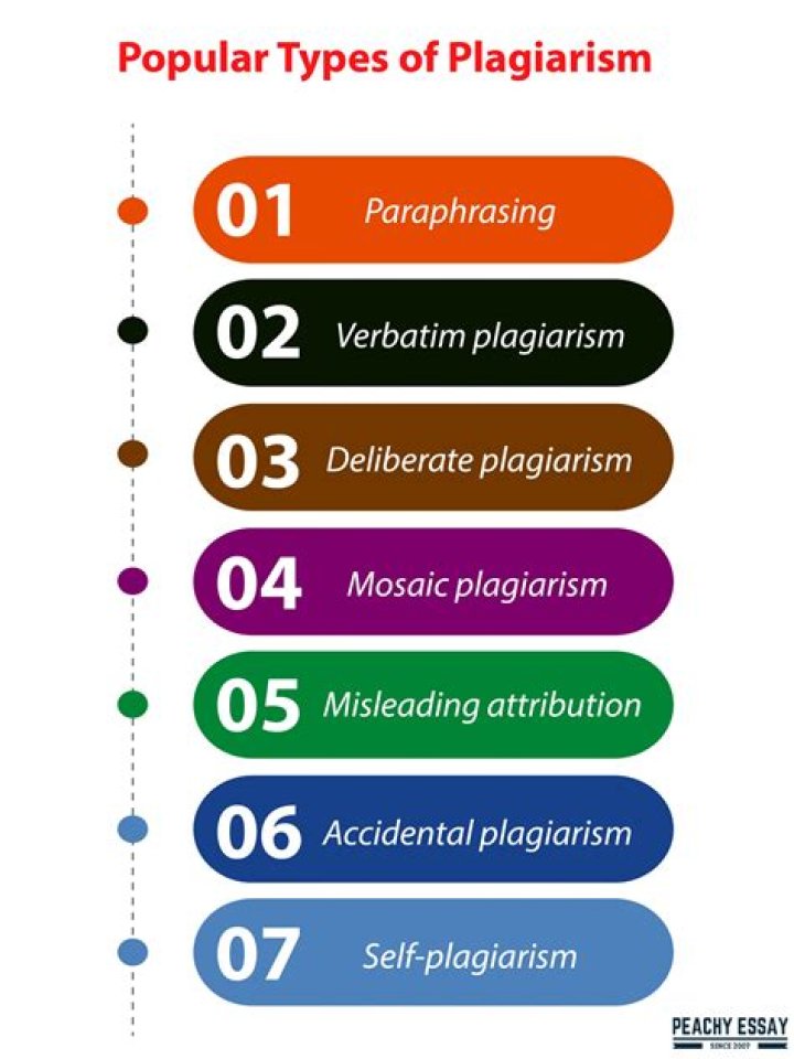 What is plagiarism in media