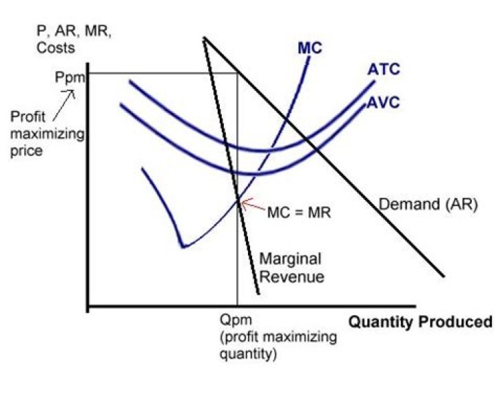 What is profit minimization
