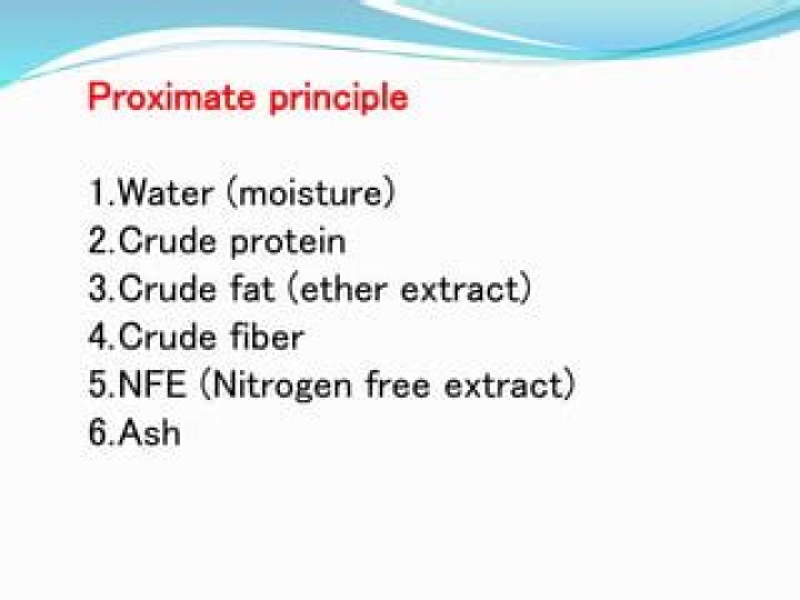 What is proximate principle