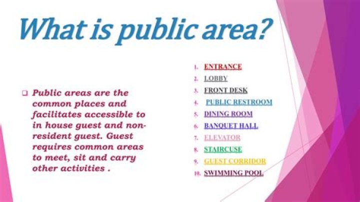 What Is Public Area Cleaner