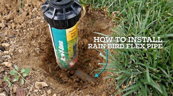 What is Rain Bird Swing pipe